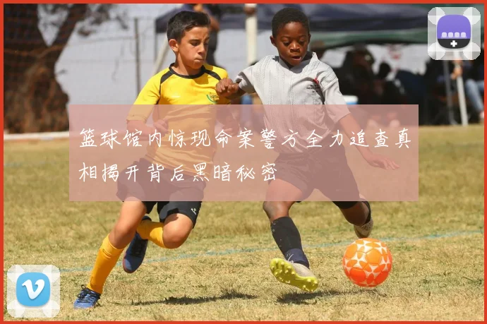 篮球馆内惊现命案警方全力追查真相揭开背后黑暗秘密