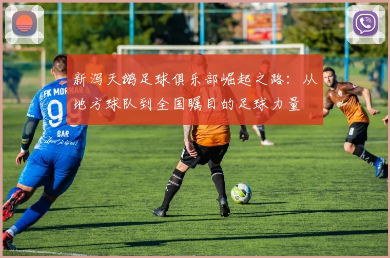 新泻天鹅足球俱乐部崛起之路：从地方球队到全国瞩目的足球力量