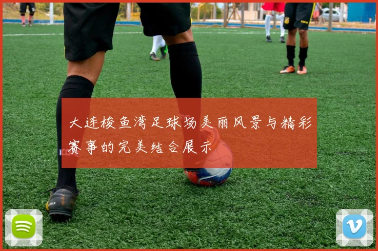 大连梭鱼湾足球场美丽风景与精彩赛事的完美结合展示